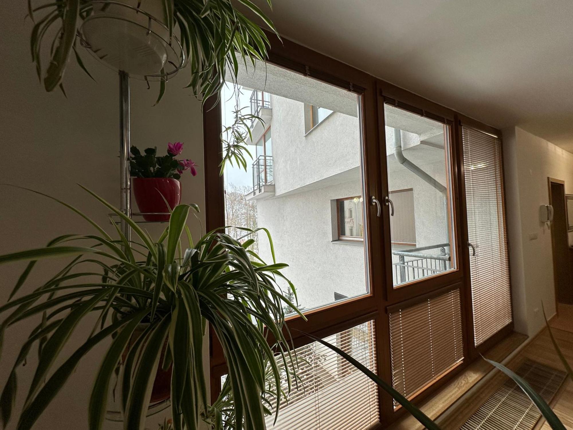 Apartman Na Vyhlidce Apartment การ์โลวีวารี ภายนอก รูปภาพ